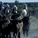 L'oree De Camargue Avec Cour Апартаменты *