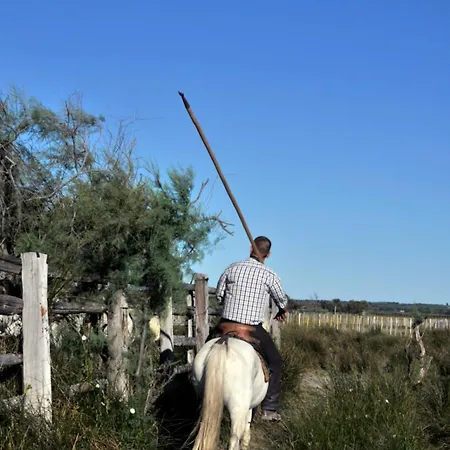Loree De Camargue Cosy Avec Cour Proche * Le Grau-du-Roi
