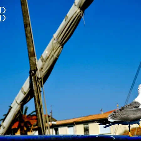L'oree De Camargue Avec Cour Apartamento *