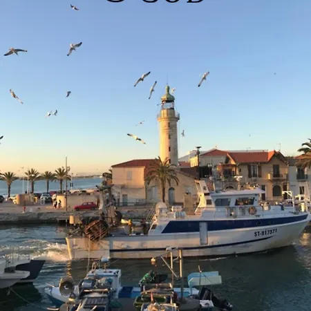 דירה Loree De Camargue Cosy Avec Cour Proche