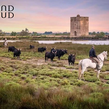 Loree De Camargue Cosy Avec Cour Proche * לה-גרו-דו-רואה