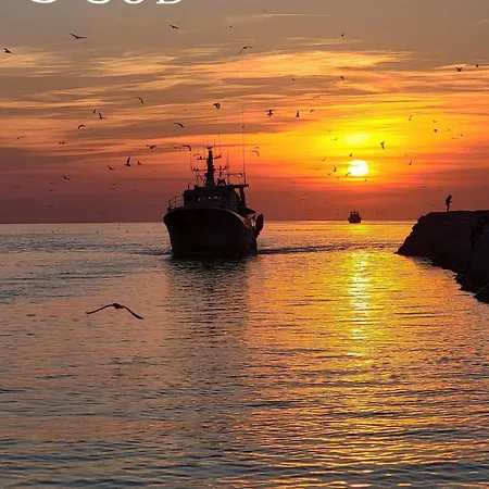 Apartamento L'oree De Camargue Avec Cour Le Grau-du-Roi