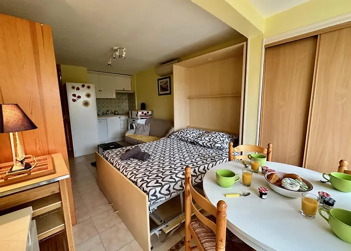 Appartement L'orée De Camargue Avec Cour *