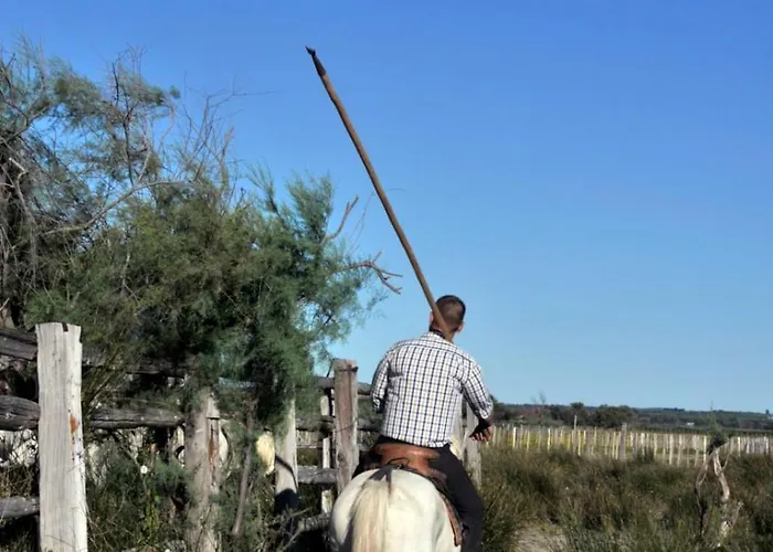 L'orée De Camargue Avec Cour * Le Grau-du-Roi